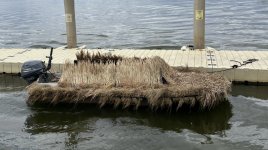 DI13 - Side High.JPEG