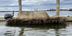 DI13 - Side low.JPEG