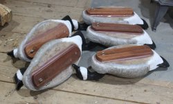 sm Model 81 Canadas - SJS heads and flat keels - bottoms up.JPG