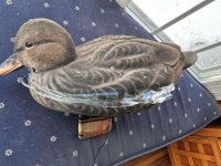 607590091_2004429423454204_6583738813235575400_n.jpg 607590091_2004429423454204_6583738813235575400_n.jpg