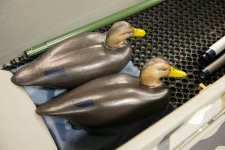 Island Outdoors Media TM-63.jpg Island Outdoors Media TM-63.jpg