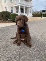 IMG_2662.jpeg IMG_2662.jpeg