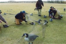 1988_Fall_George Munkert Album 01_0071_a.jpg