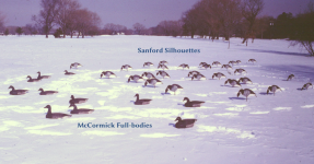 Screenshot 2026-02-16 at 10.53.27 PM.png