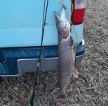 1000010960.jpg 1000010960.jpg