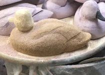 84084342_1473986162774409_311783757759643648_n.jpg 84084342_1473986162774409_311783757759643648_n.jpg