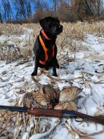 20251227_110638.jpg 20251227_110638.jpg