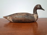 sm 11 Unknown - Bennett III - Port profile.jpg