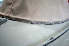 sm snaps on dodger.jpg