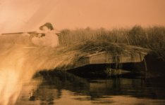 Island Outdoors Media TM-56.jpg