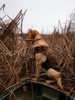 Dude and the Ducker.jpg