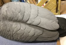 489832444_1220630213096906_2567174561332329346_n.jpg 489832444_1220630213096906_2567174561332329346_n.jpg