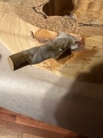 IMG_9255.jpeg IMG_9255.jpeg