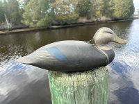 IMG_7023.jpeg