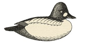 WS - Goldeneye Image.jpg