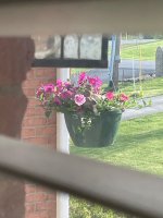 IMG_2513.jpeg