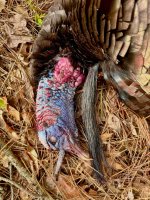 IMG_5710.jpeg