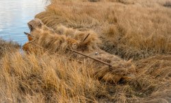 Island Outdoors Media TM-103.jpg