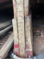IMG_7255.jpeg