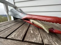 IMG_5355.JPEG