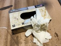 02 gloves.jpg