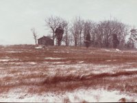 IMG_1501.jpg