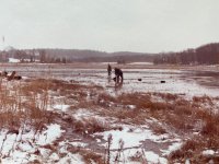 IMG_1505.jpg