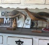 IMG_6242.jpeg