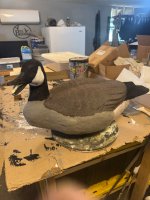 IMG_6500.jpeg