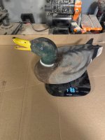 IMG_6516.jpeg