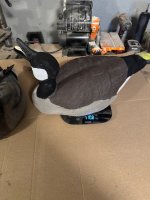 IMG_6517.jpeg