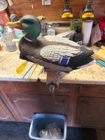 IMG_5040.jpeg