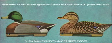 1 Dr. Edgar Burke quote with Mallards TEXT.jpg