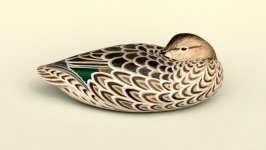 6 Greenwing Hen 1990 CROPPED.jpg
