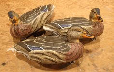 9 Model 63 Mallard Hens - threesome sm.JPG