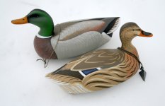 13 sm SJS hollow pine Mallard Pair in Snow.JPG