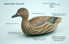 14 sm GWT Hen - BEHR PAINTS.JPG