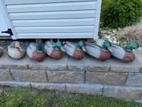 IMG_0235.jpeg