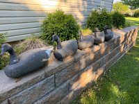 IMG_0243.jpeg
