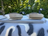 IMG_0231.jpeg
