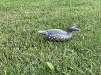 IMG_2686.jpeg