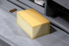 sm FT 18 Model Perfect Duckboat Sponge.JPG