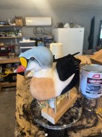 IMG_6586.jpeg