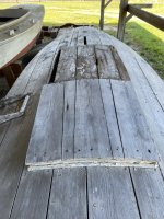IMG_0786.jpeg