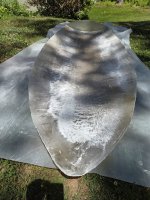 20260621_133548.jpg