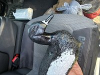 IMG_3639.jpeg IMG_3639.jpeg