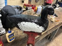 IMG_3630.jpeg IMG_3630.jpeg