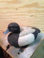 IMG_0535.jpeg IMG_0535.jpeg