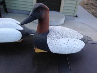 IMG_0424.jpeg IMG_0424.jpeg