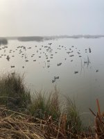 IMG_5048.jpeg